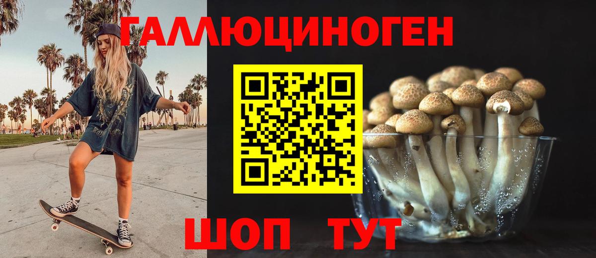 Тавда  Галлюциногенные грибы MAGIC MUSHROOMS  Вход с VPN 