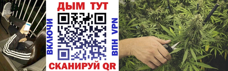 Купить закладки  Тавда  Шишки марихуана VHQ 